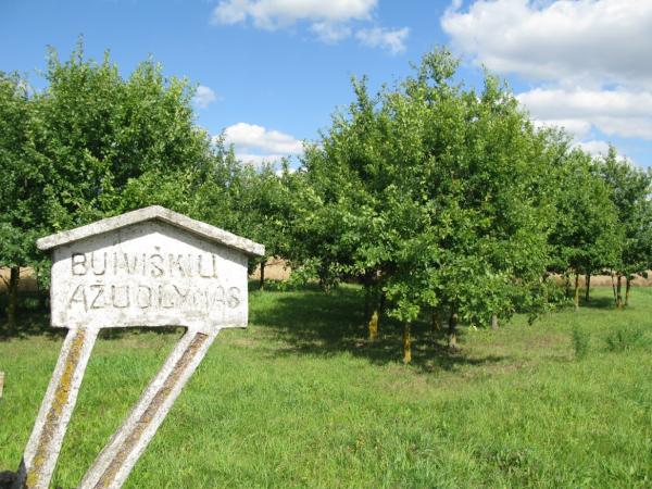 Koplytstulpiai Buiviškių kaimui